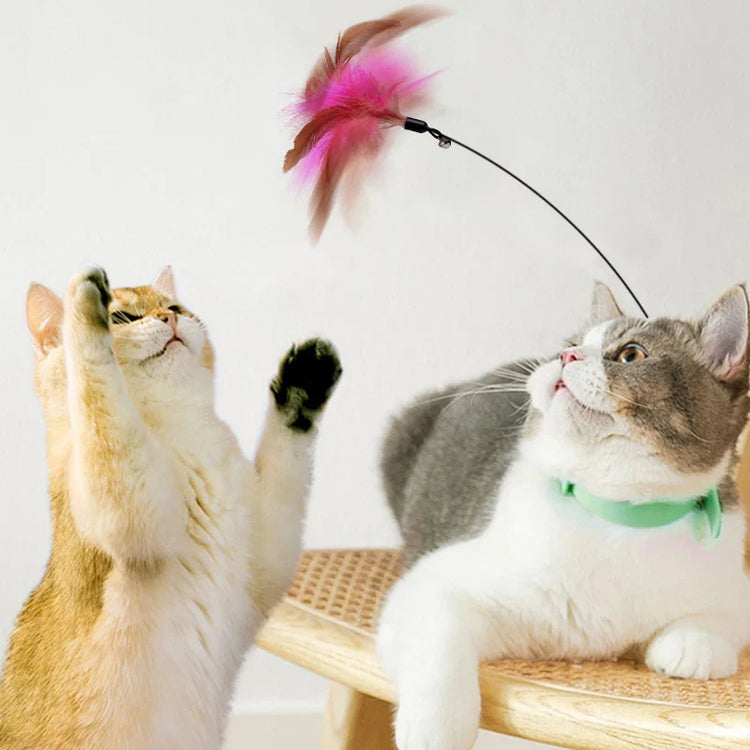 Interactive cat Collar