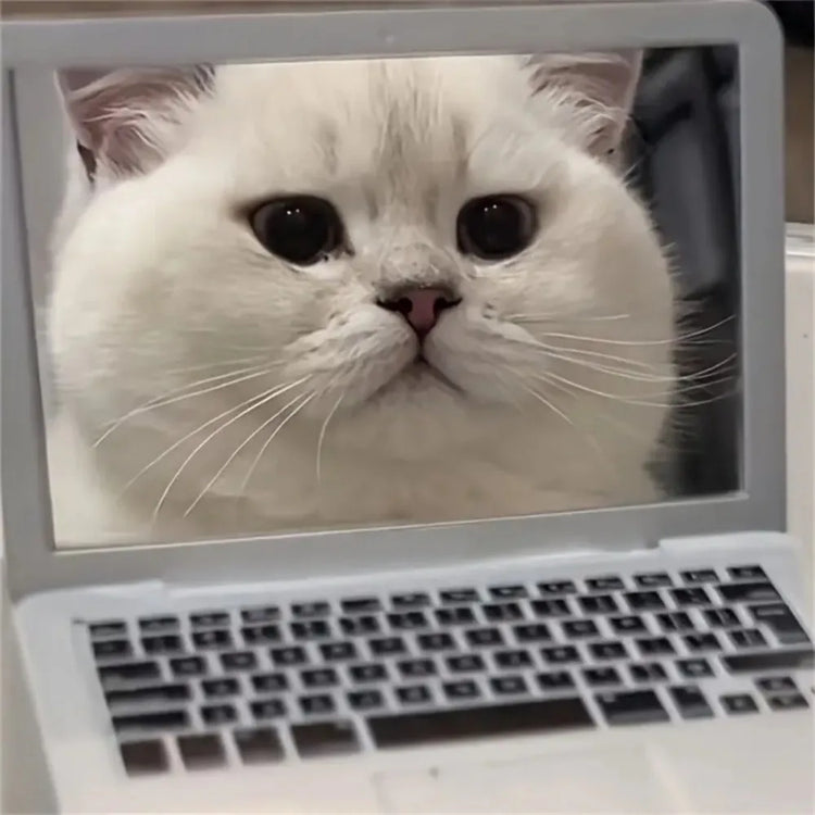 Mini Cat Laptop