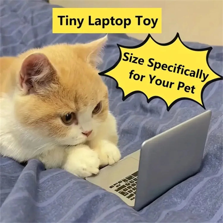Mini Cat Laptop