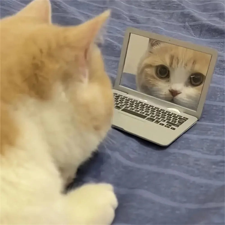 Mini Cat Laptop