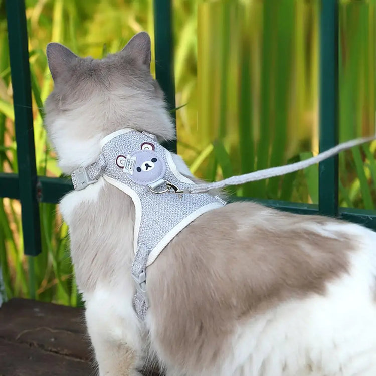 Teddy Bear Cat Harness and Leash Set