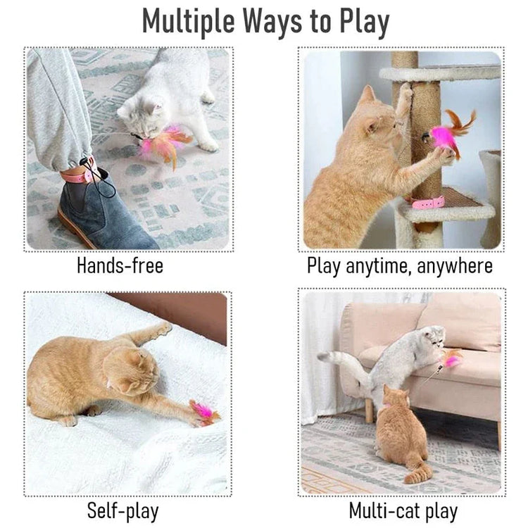 Interactive cat Collar