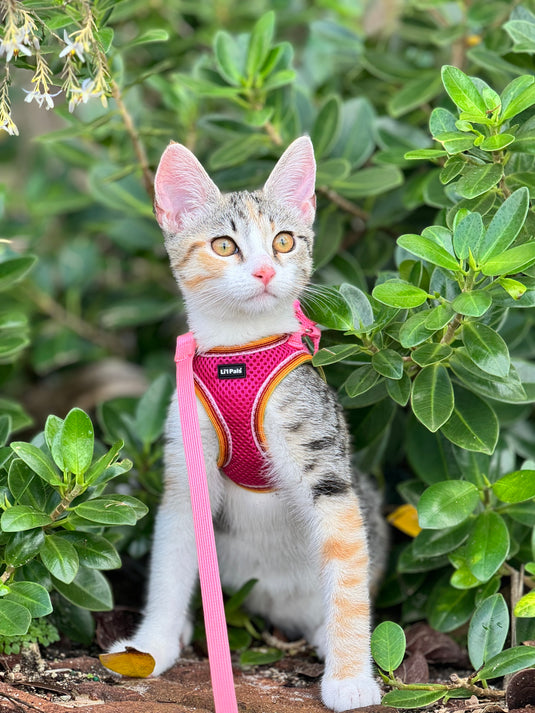 "Gretel here, showcasing our latest collection of women’s outfits—stylish, comfortable, and perfect for any occasion. Find your new favorite look today!"