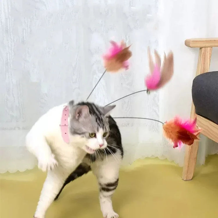 Interactive cat Collar