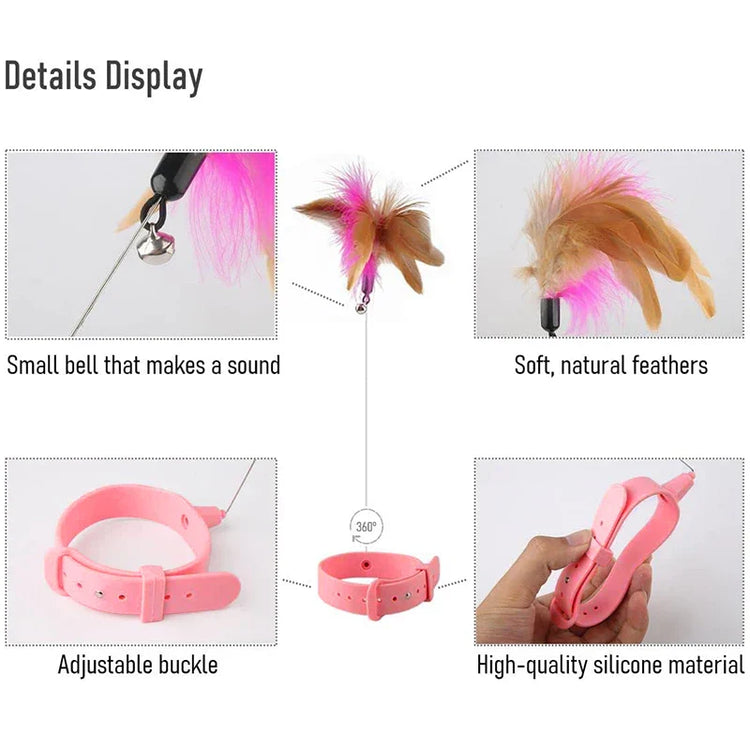 Interactive cat Collar