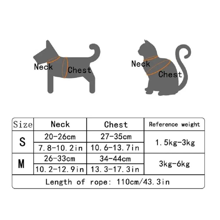 Teddy Bear Cat Harness and Leash Set
