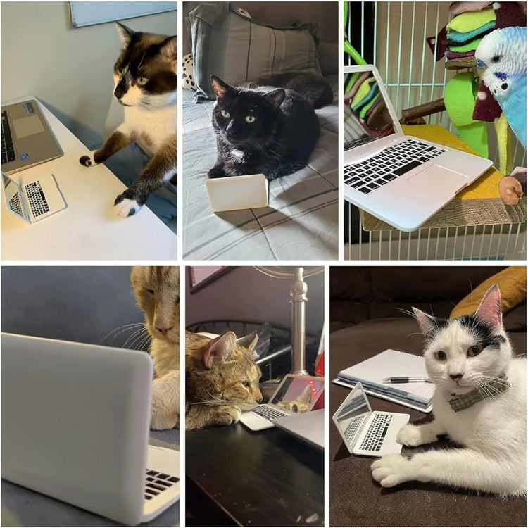 Mini Cat Laptop